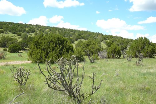 Property photo 40 - 7,320 Acres Offered in 5 Tracts